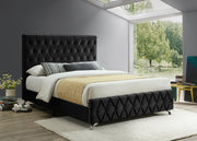 IF-5671 Lit en velours noir avec boutons à motif losange et pieds chromés