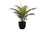 PLANTE ARTIFICIELLE - 20"H / PALMIER INTÉRIEUR POT 5"