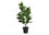 PLANTE ARTIFICIELLE - 28"H / POT INTÉRIEUR GARCINIA 5"