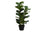 PLANTE ARTIFICIELLE - 32"H / FIGUIER INTERIEUR POT 6"