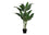 PLANTE ARTIFICIELLE - 42"H / POT INTÉRIEUR EVERGREEN 5"