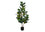 PLANTE ARTIFICIELLE - 49"H / FIGUIER INTERIEUR POT 5"