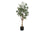 PLANTE ARTIFICIELLE - 46"H / POT INTÉRIEUR EUCALYPTUS 5"