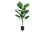 PLANTE ARTIFICIELLE - 54"H/DIEFFENBACHIA INTERIEUR/POT 6"