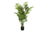 PLANTE ARTIFICIELLE - 47"H/ARECA PALMIER INTERIEUR POT 5"