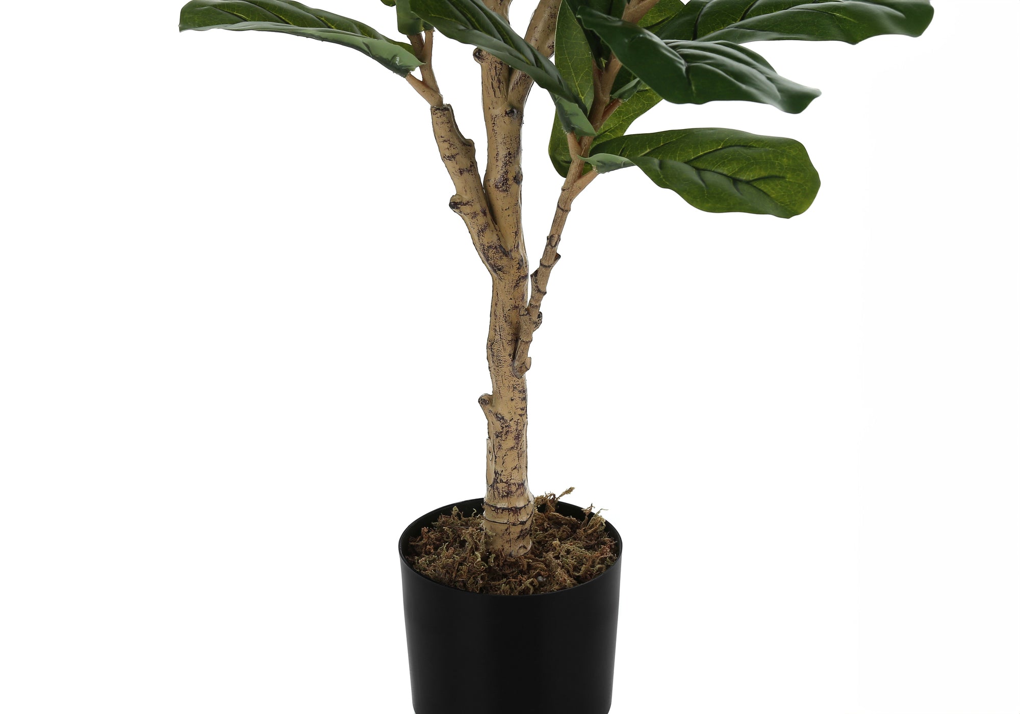 PLANTE ARTIFICIELLE - 47"H / FIDDLE INTERIEUR POT 5"