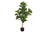 PLANTE ARTIFICIELLE - 47"H / POT INTERIEUR FILODLE 5"