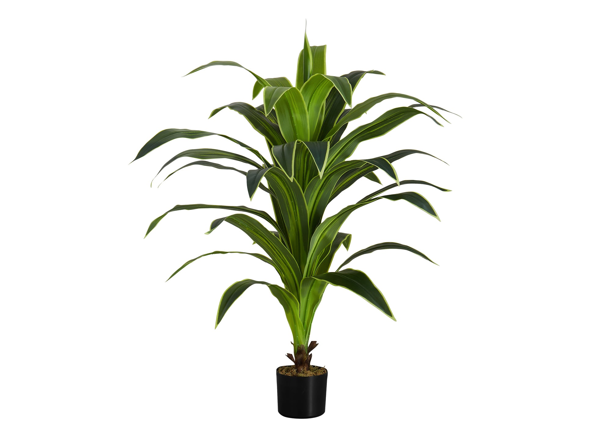PLANTE ARTIFICIELLE - 47"H / DRAC&Aelig;NA INTERIEUR POT 5"