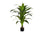 PLANTE ARTIFICIELLE - 47"H / DRAC&amp;Aelig;NA INTERIEUR POT 5"