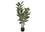 PLANTE ARTIFICIELLE - 47"H / CHENE INTERIEUR POT 5"