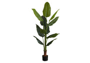 PLANTE ARTIFICIELLE - 59"H / STRELITZIA INTERIEUR POT 5"