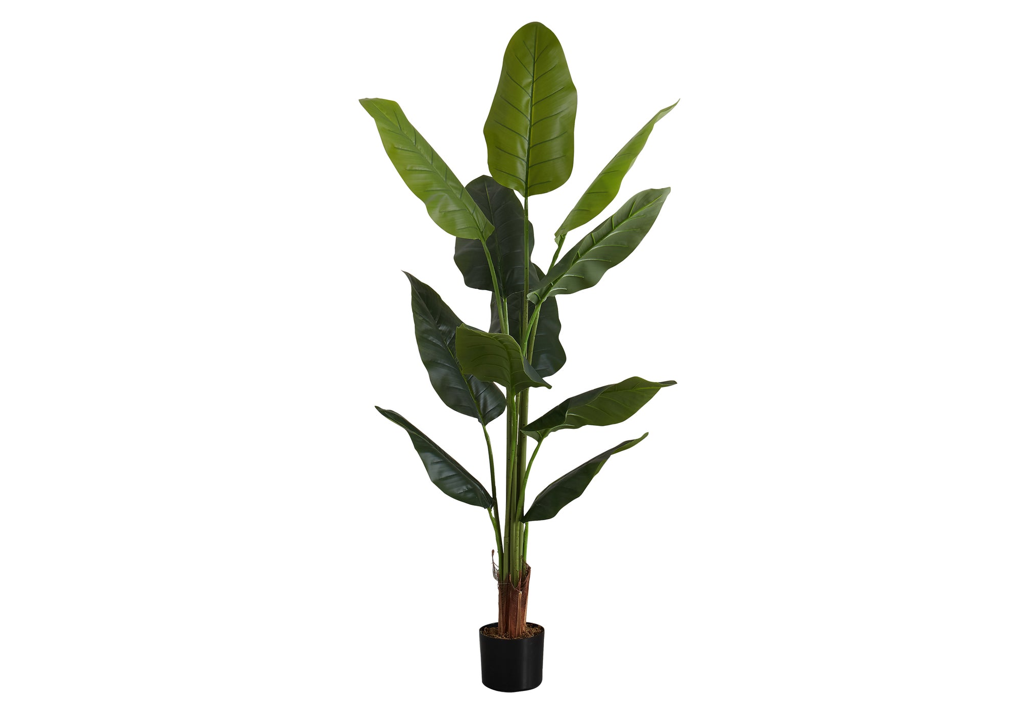 PLANTE ARTIFICIELLE - 59"H / STRELITZIA INTERIEUR POT 5"
