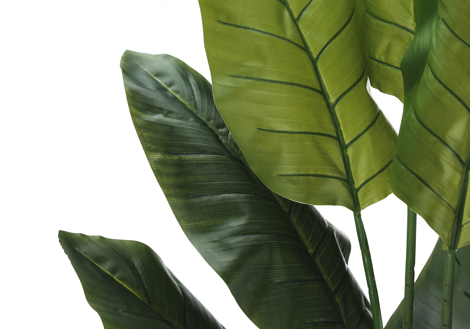 PLANTE ARTIFICIELLE - 59"H / STRELITZIA INTERIEUR POT 5"