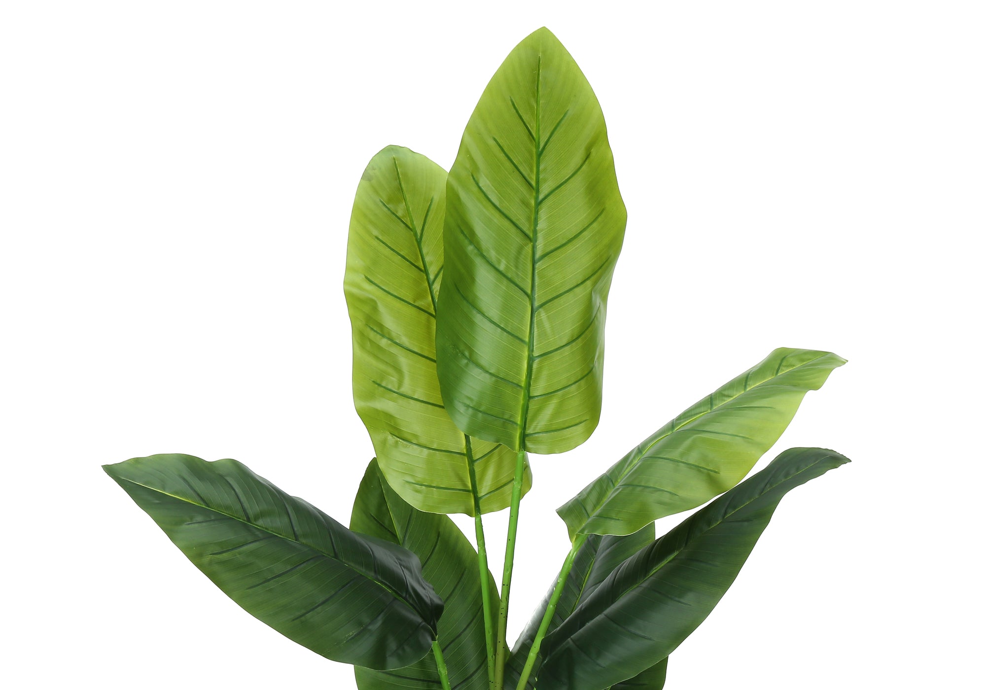 PLANTE ARTIFICIELLE - 59"H / STRELITZIA INTERIEUR POT 5"