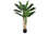 PLANTE ARTIFICIELLE - 55"H / BANANIER INTERIEUR POT 6"