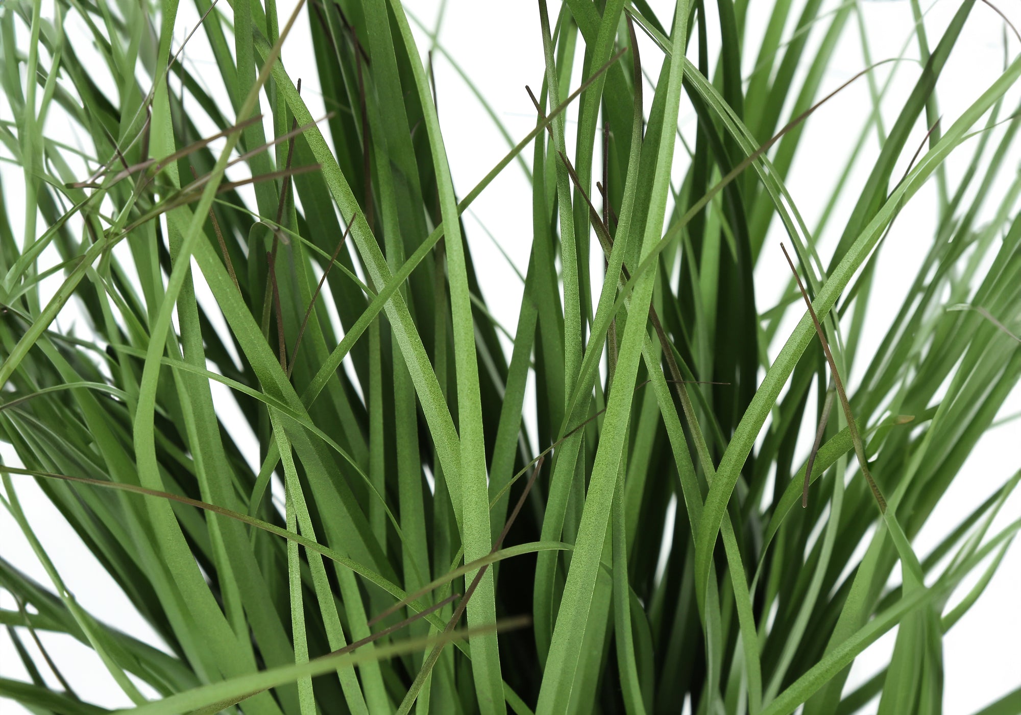 PLANTE ARTIFICIELLE - 23"H / GAZON INTERIEUR POT 4"