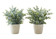 PLANTE ARTIFICIELLE - 2PCS / 13"H EUCALYPTUS/ HERBE/ 4" POT