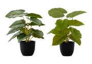 PLANTE ARTIFICIELLE - 2PCS / 13"H EPIPREMNUM / 4" POT