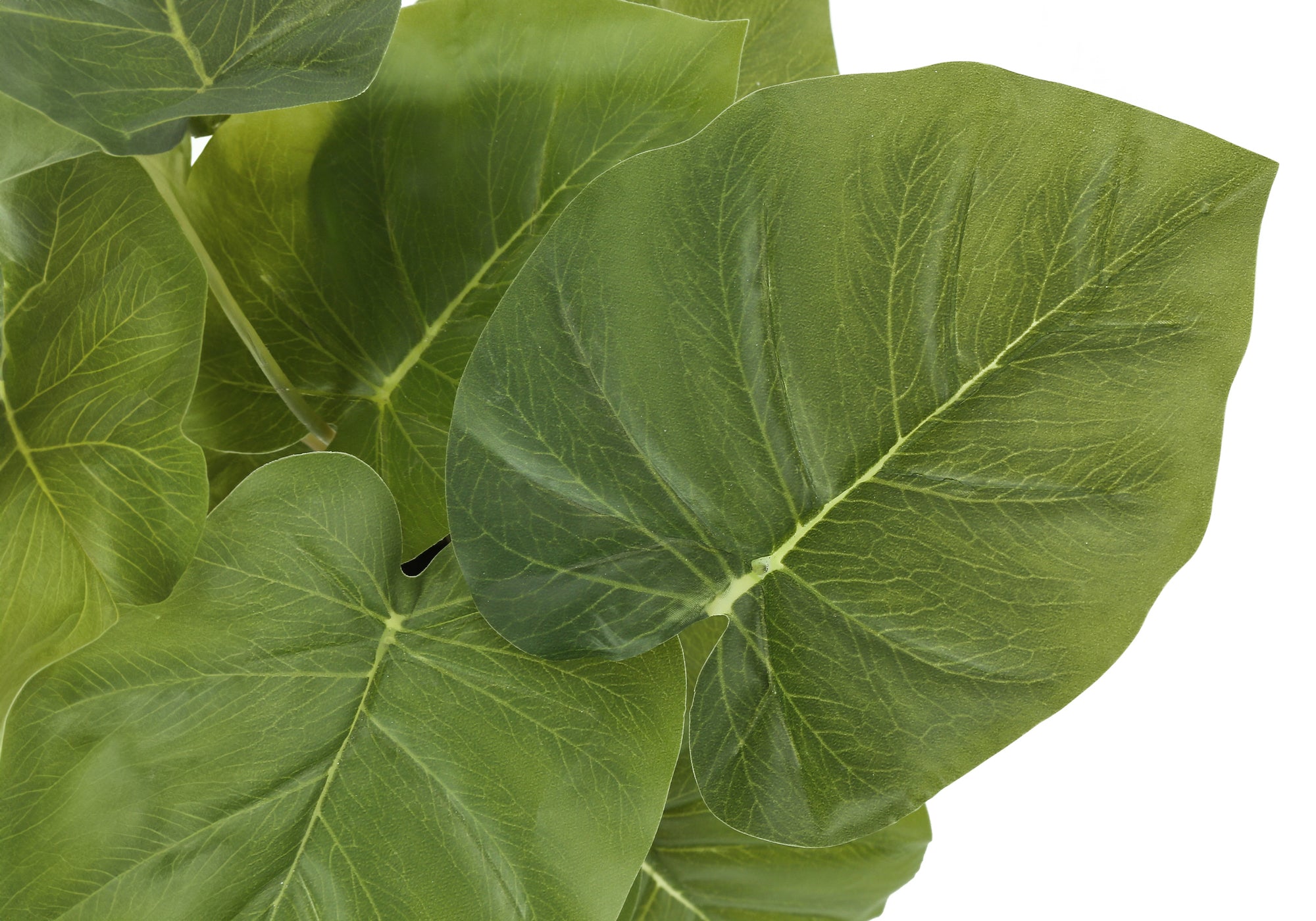 PLANTE ARTIFICIELLE - 2PCS / 13"H EPIPREMNUM / 4" POT