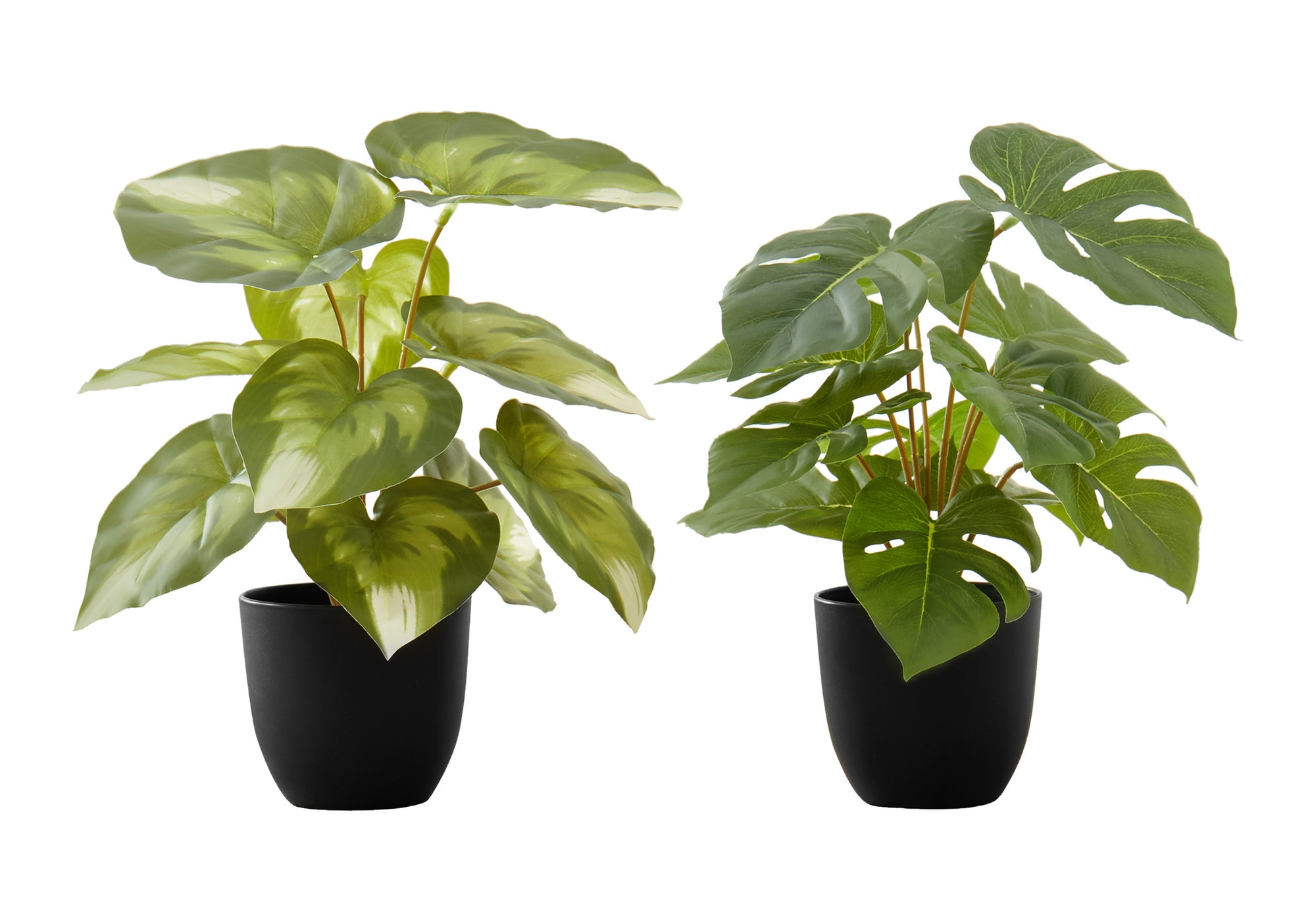 PLANTE ARTIFICIELLE - 2PCS / 13"H MONSTERA/CALATHEA/ 4" POT