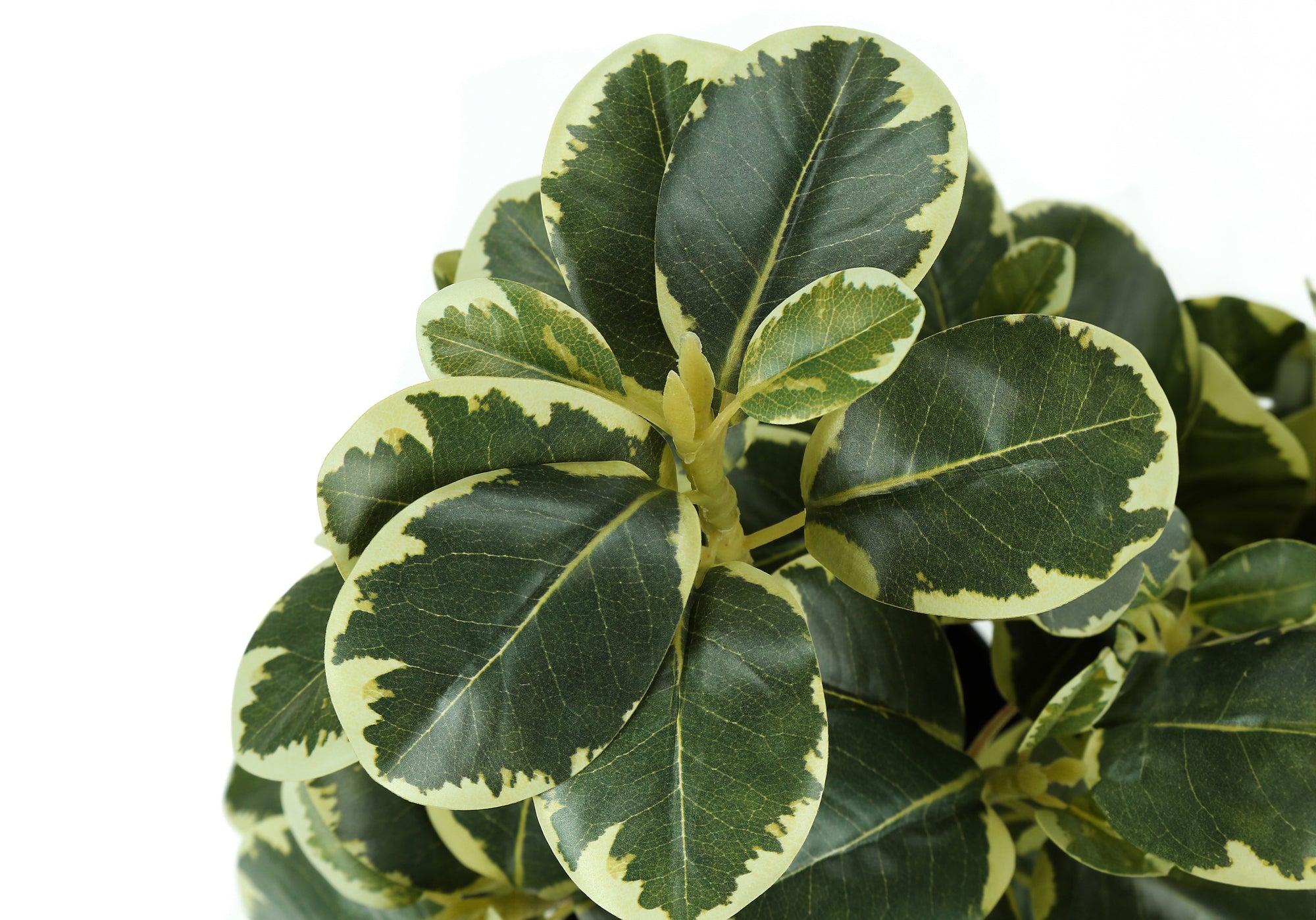 PLANTE ARTIFICIELLE - 2PCS / 14"H FICUS ELASTICA ET POT 4"