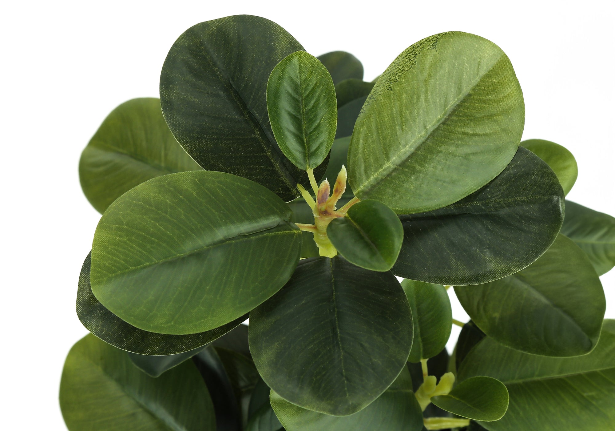 PLANTE ARTIFICIELLE - 2PCS / 14"H FICUS ELASTICA ET POT 4"