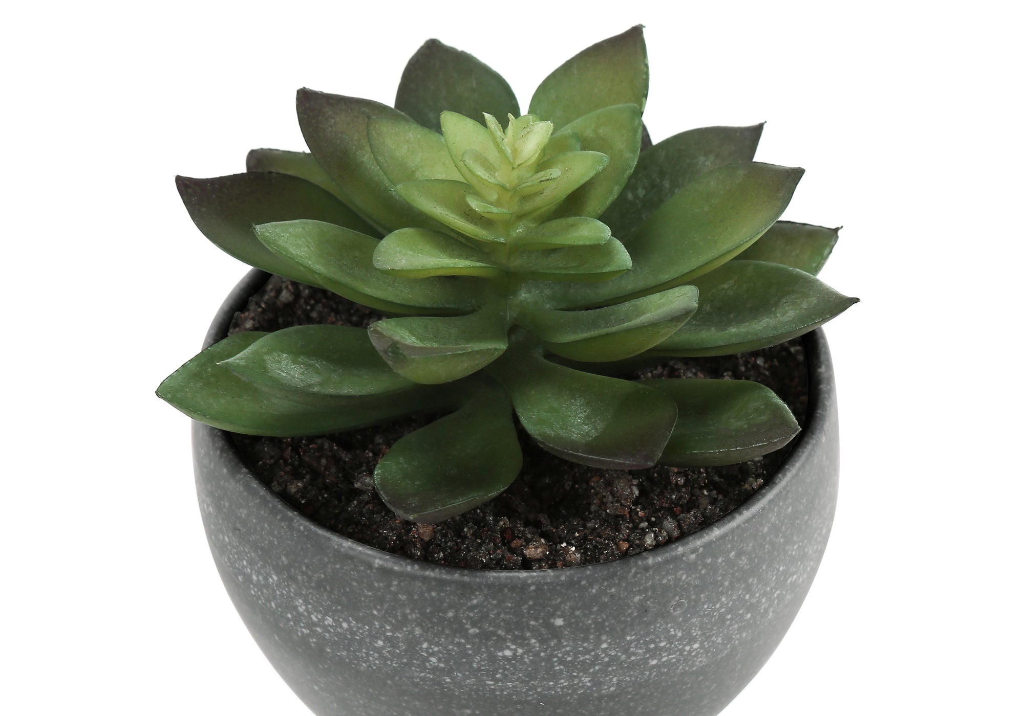 PLANTE ARTIFICIELLE - 3MCX / 6"H SUCCULENT POT GRIS 3"