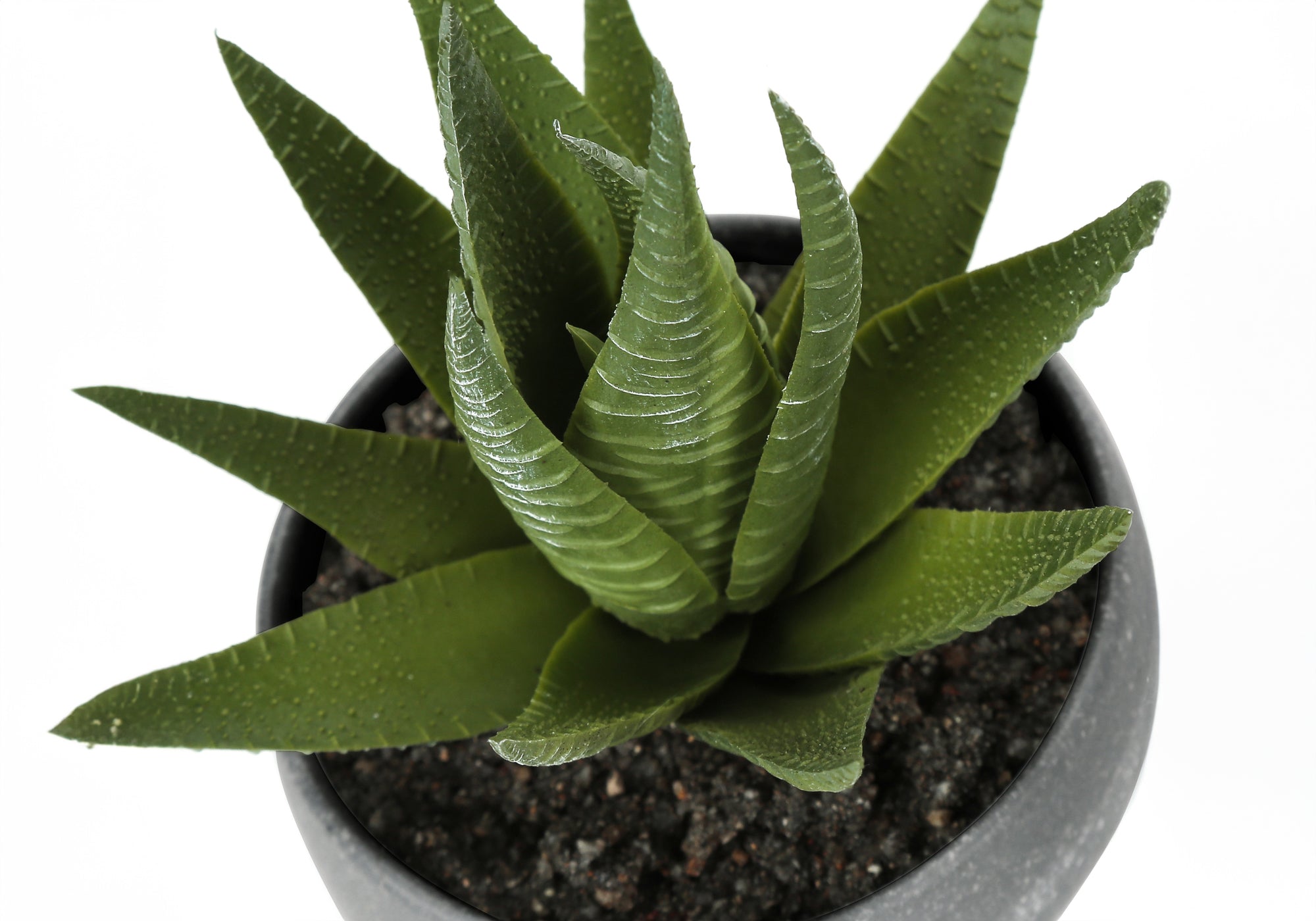 PLANTE ARTIFICIELLE - 3MCX / 6"H SUCCULENT POT GRIS 3"