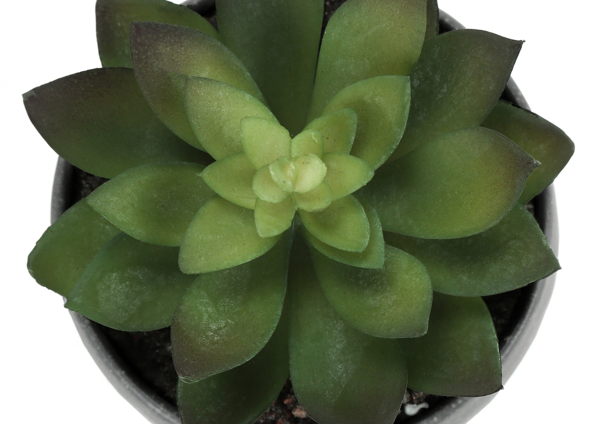 PLANTE ARTIFICIELLE - 3MCX / 6"H SUCCULENT POT GRIS 3"
