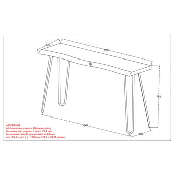 Nila Console/Bureau en Nature