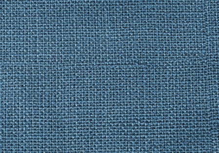 COUSSIN - 18"X 18" / MOTIF BLEU / 2PCS